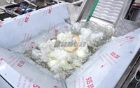 Groentewasmachine voor 800-1500 kg/uur, geschikt voor knoflook, citroen, chili, aardappel, fruit en groenten na de oogst.