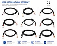 Harness Kabel Tegangan Tinggi Kendaraan Energi Baru Kustom, Seal Karet Komunikasi PBT BMS untuk Komputer EV, Sepeda Motor, dan Energi