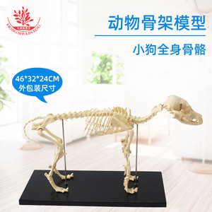 PVC - Product Image 2