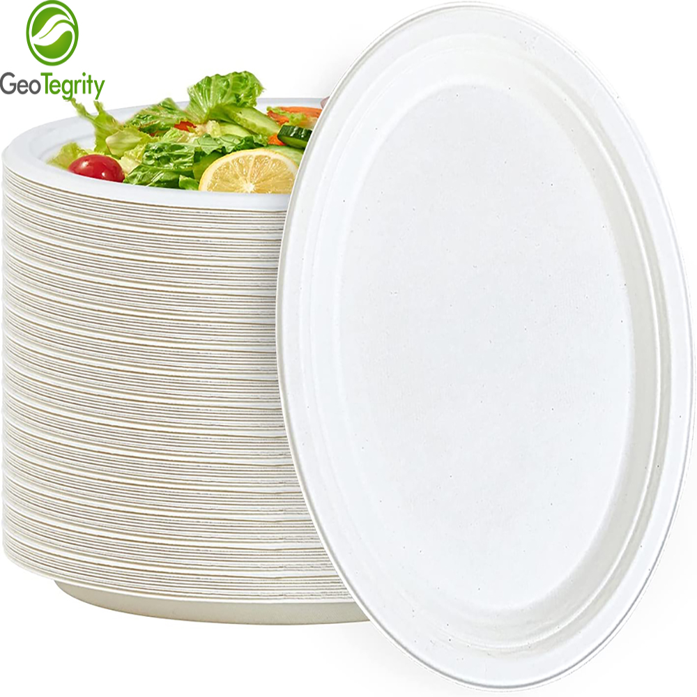 Customized 6 7 8.75 9 10inch Bio Degradable Disposable Bagasse Sugarcane Paper Plate