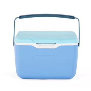 non-electronic cooler box 5L