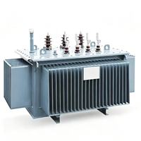 CE pour transformateur toroïdal immergé dans l'huile de 1000 kVA triphasé 50/60 Hz 22/0,415 haute tension avec enroulement en cuivre