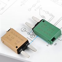 Fusible réinitialisable automobile 32V CC, mini-lame à profil bas, disjoncteur en ligne, capacité de coupure moyenne, courbe BCD pour bateau et bus