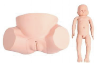 Maniquí Ginecológico Avanzado para Ciencias Médicas, Entrenamiento de Partos en Ginecología, Obstetricia, Simulador Médico de Partería, CE/ISO