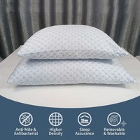 Bantal Hotel bintang 5 bantal bambu pendingin es penutup yang dapat dicuci bantal busa memori robek untuk menyesuaikan loteng