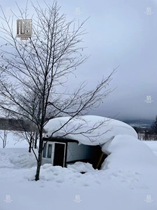 Foldable Container House <strong>Backyard</strong> <strong>Storage</strong> <strong>Unit</strong> Prefab Shed for Garden Workshop - Product Image 6