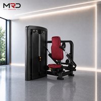 Máquina de entrenamiento de tríceps con pin, máquina de dips sentado, máquina de entrenamiento de fuerza para tríceps para uso en gimnasio
