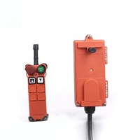 Télécommande RF à 2 boutons F21-2D - Étanche, portée de 100 m, protection IP65 pour grue
