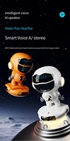 Hot Sales Smart Ai Draadloze Audio Wifi Configuratie Klok Alarm Fm Radio 5.0 Chip Bt Speaker