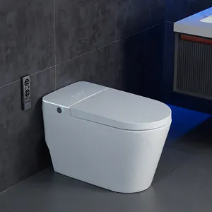浴室座圈马桶WC陶瓷一体式马桶Delta-120 S-Trap 225毫米白色智能马桶坐浴盆