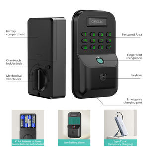 กุญแจล็อคประตูอัจฉริยะ LianTian <span class=keywords><strong>LK9</strong></span> พร้อมระบบจัดเก็บข้อมูลบนคลาวด์ ควบคุมด้วยลายนิ้วมือ รหัสผ่าน แอปพลิเคชัน และกุญแจกลไก พร้อมระบบล็อคอัตโนมัติ - Product Image 3