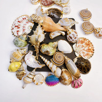 Perles de coquillages naturels électroplaquées, breloques de coquillages de plage pour bijoux d'été et Halloween