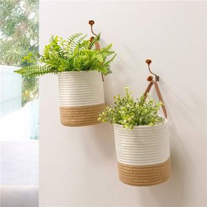Set di 6 Cesti Sospesi Sferici in Erba Marina Naturale, Vasi Decorativi <span class=keywords><strong>da</strong></span> Parete con Vassoio Raccogligocce in Plastica, Stile Boho - Product Image 4