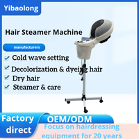 Sèche-cheveux à micro-brume à succès avec système d'ozone pour traitement capillaire vapeur, idéal pour salon et usage domestique