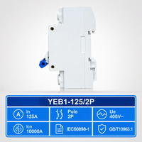 125A 2P Miniature Circuit Breaker MCB DIN Rail untuk Kotak Sambungan Rumah Kotak Distribusi PV Surya CE CCC ODM Pabrik Kustom YUYE