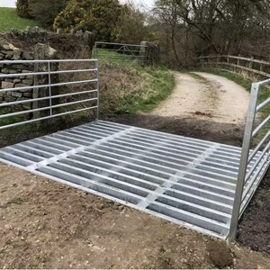 Poids lourds bovins route grille prix coûtant à vendre près <span class=keywords><strong>de</strong></span> <span class=keywords><strong>moi</strong></span> - Product Image 1