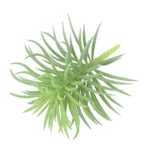 Ramo <span class=keywords><strong>de</strong></span> Plantas Artificiales, Suministros <span class=keywords><strong>de</strong></span> Jardín, Plantas Verdes, Panel <span class=keywords><strong>de</strong></span> Pared Artificial, Cobertizo <span class=keywords><strong>de</strong></span> Jardín Realista, Plantas Suculentas al por Mayor - Product Image 5