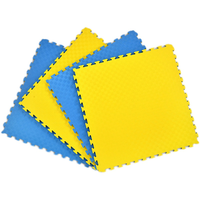 Matras Busa EVA Ukuran 100cmx100cm Tebal 2 3 4 cm Interlocking Taekwondo Tatami Puzzle Lantai