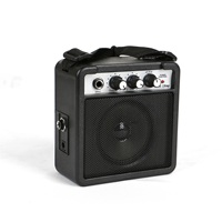 Amplificateur de guitare professionnel Deviser TG-5W 5W en métal pour guitares acoustiques, fabriqué à Guangdong