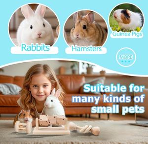 Tavşanlar, Gine Domuzları ve Hamsterler için Komik Kauçuk ve Masif Ahşap Diş Kaşıma Oyuncağı - Modern Tarzda Karton Paketli - Product Image 6