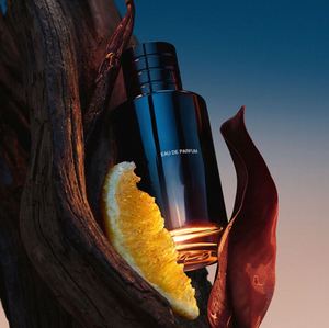 Parfum pour homme de marque originale de haute qualité, flacon de 100 ml, cadeau, vente en gros, parfum boisé, longue tenue - Product Image 2
