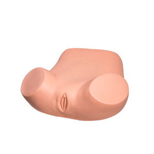 Nói Chung Bác Sĩ Phụ Khoa Kiểm Tra Mô Phỏng - Product Image 1