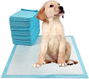 Tapis d'apprentissage de la propreté pour chiots et chats d'intérieur, super absorbants, 56 x 56 cm, pour animaux de compagnie - Product Image 1