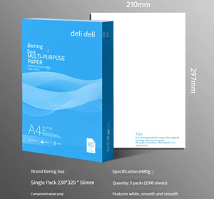 Papel de impresora Deli 7754 alta calidad <span class=keywords><strong>Bering</strong></span> <span class=keywords><strong>Sea</strong></span> A4 70g 500 hojas * 8 paquetes de papel para rascar 4000 hojas FCL - Product Image 5