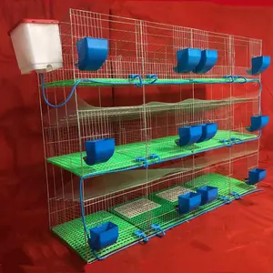 Cage d'élevage de lapins en métal de bonne qualité pour le Mexique