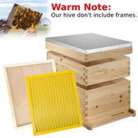 Matériel d'apiculture multi-types et multi-niveaux, ruches en bois avec cadres, ruche en bois enduite de cire