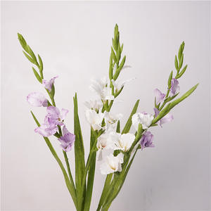 YOPIN-3836 <span class=keywords><strong>Flor</strong></span> <span class=keywords><strong>de</strong></span> Gladiolo Artificial <span class=keywords><strong>de</strong></span> Seda <span class=keywords><strong>de</strong></span> Alta Calidad con Tallo Único para Decoración <span class=keywords><strong>de</strong></span> Bodas y Hogar - Product Image 5
