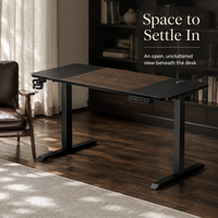 Bureau debout électrique à moteur unique AOR 140x60cm, hauteur réglable, capacité statique 200kg, chêne belge 15mm, Nouveau, Pro Value, Vente en gros usine