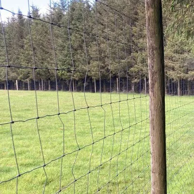 Clôture de prairie galvanisée de haute qualité Garde de ferme Clôture de terre agricole Chèvre Bétail et mouton Clôture de ferme