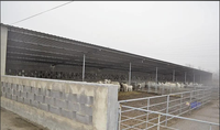 Bâtiment d'élevage moderne préfabriqué en acier léger galvanisé pour moutons et chèvres, résistant à la corrosion, résistance au vent 121+ mph, indice 5+