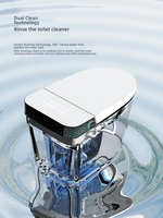 Toilette intelligente de style moderne en céramique avec chasse d'eau automatique, service OEM/ODM, toilette électrique intelligente avec siège chauffant