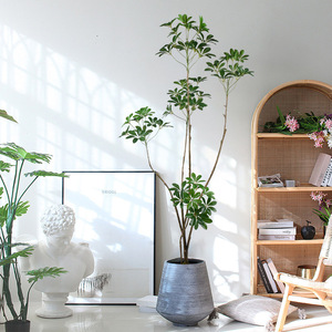 El Fabricante Tiene un Fuerte Impulso de Ventas para los Modelos de Exhibición de Alta Gama para Interiores, Planta Artificial Schefflera - Product Image 4