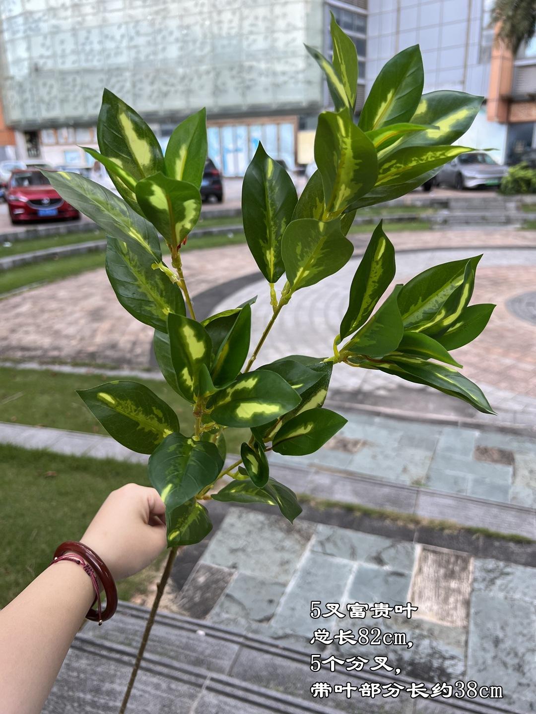 5 fourche feuille de fugui