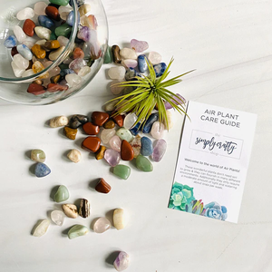 Modern tasarım <span class=keywords><strong>Mini</strong></span> teraryum kiti çocuklar 8-12 cam teraryum kavanoz süslemeleri fabrika tedarikçisi toptan hava çiçek saksıları yetiştiricilerinin - Product Image 6