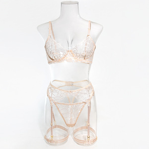 Conjunto de Lencería de 4 Piezas con Bordado Irregular, Conjunto Erótico de Sujetador y Bragas Transparentes con Parches de Malla y Liguero - Product Image 4