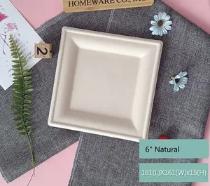 Disposable Dinner Plate Square Plate Paper Wholesale Barbecue Picnic Handmade Painting Tray 6 Inch Bagasse Party Choice