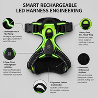 Harnais LED rechargeable pour chien, type C USB, gilet lumineux pour animal de compagnie, harnais réfléchissant anti-traction pour la sécurité des promenades nocturnes, tailles S à XL