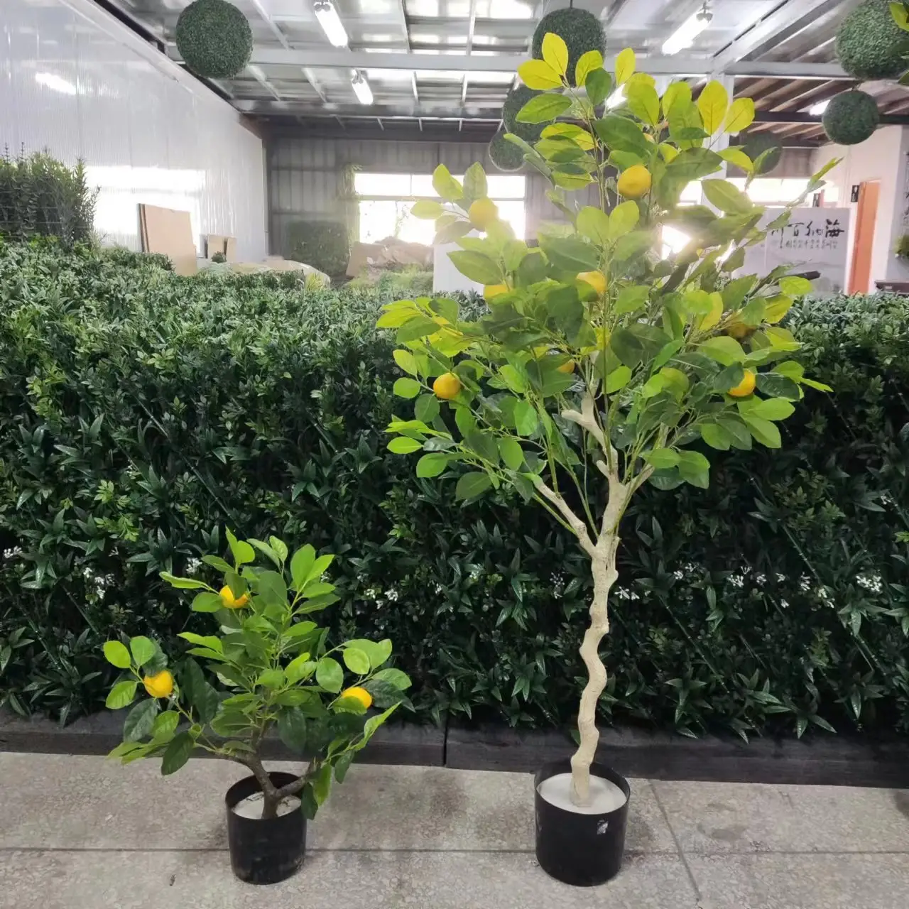 HX-cultivo de plantas artificiales, producto de PE para cultivo de árboles frutales falsos en maceta, fuente de árbol naranja, fabricante en Venta Directa