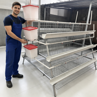 Cage à poules pondeuses automatique de type A, cage en batterie 3/4 niveaux, 96-160 poules pour ferme à forte humidité