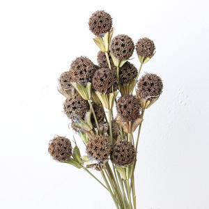 Boule de fleurs séchées immortelles et magnifiques, passe-partout pour la décoration de la maison - Product Image 4