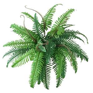 Plantes artificielles vertes, buissons, feuilles de fougère artificielle de Boston, tiges d'eucalyptus, matériau PE imperméable pour la décoration de la maison - Product Image 1