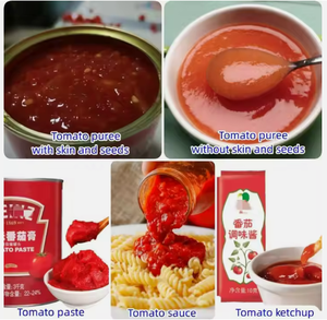 Línea de procesamiento industrial de Pure de tomate y salsa de Frutas/Maquina para hacer de tomate ketchup - Product Image 5