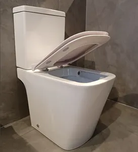 Europese Standaard Ce Hot Selling Keramische Wc Toiletpot Dual Flush P-Trap Vloer Gemonteerd Tweedelig Toilet