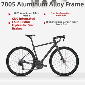 Vélo de Gravel Twitter Gravel-G3 d'entrée de gamme, en fibre de carbone, pliable, avec freins à disque, pédales ordinaires et guidon de loisirs - Product Image 2