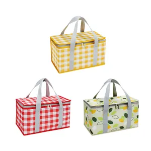 Корзина для пикника, сумки для пикника с подвесным ремешком, многоцветная сумка-холодильник для ланча, вместительная сумка-холодильник