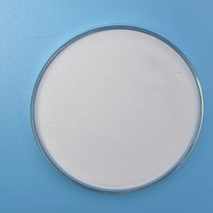 Probiotica Lactococcus Lactis Voedselingrediënten Uit China Gevriesdroogde Probiotica Poeder Originele Fabrikant - Product Image 1